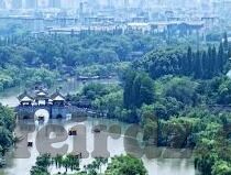 777大象传媒入口2022-探索数字世界的奇妙之旅，777大象传媒的2022年新篇章